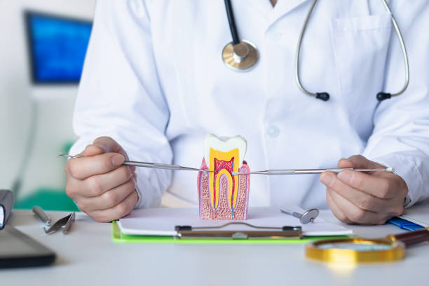 Best Emergency Dentist for Lost Fillings or Crowns in Oakland Park, FL